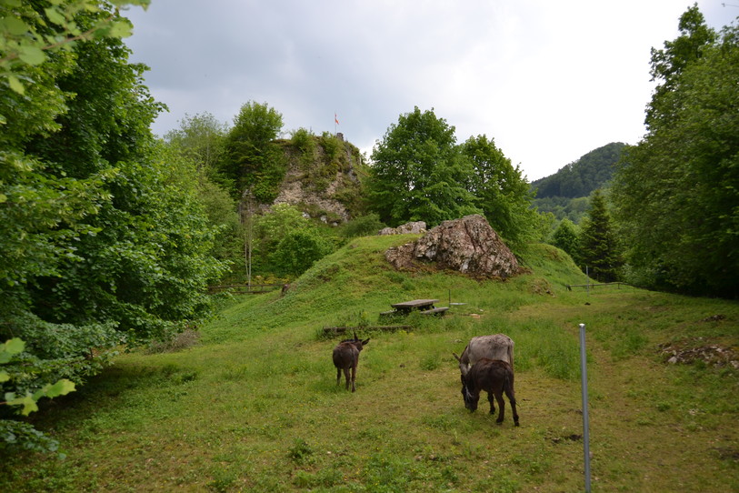 Le château d'Asuel