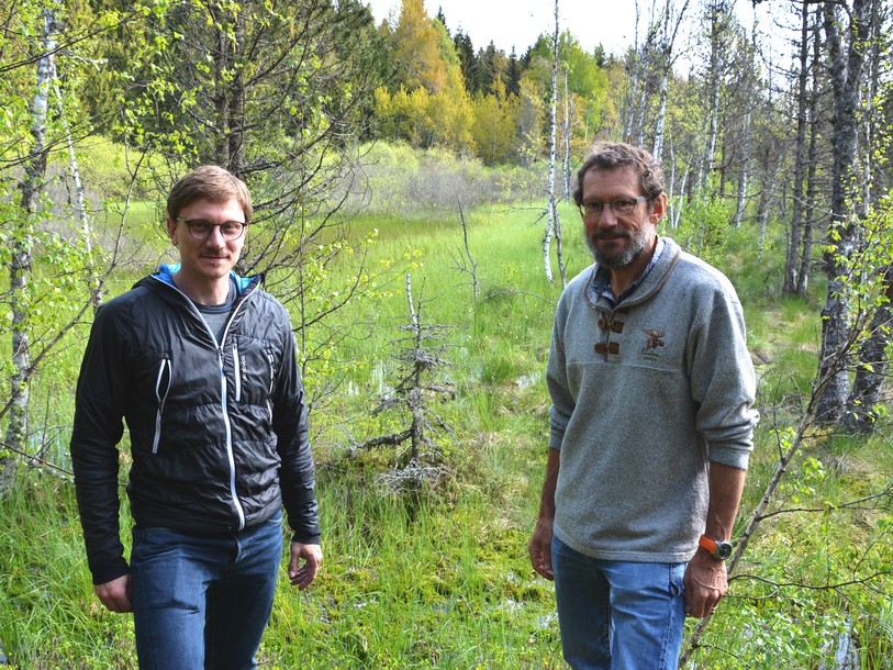 Louis Roulet et Philippe Grosvernier devant un parterre de sphaigne