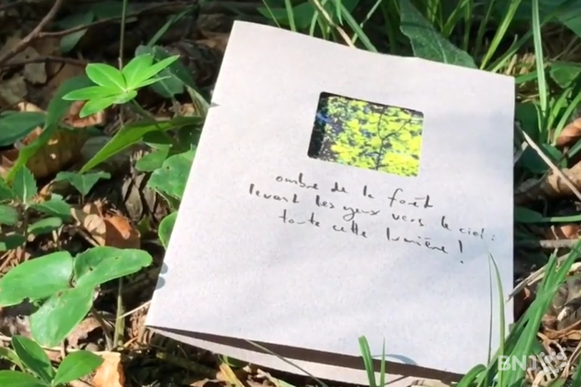 Le haïku est un poème japonais qui décrit la beauté de l'instant en 17 syllabes.