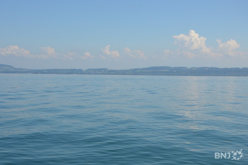 La baignade est à nouveau autorisée sans restriction sur l'ensemble du lac de Neuchâtel.