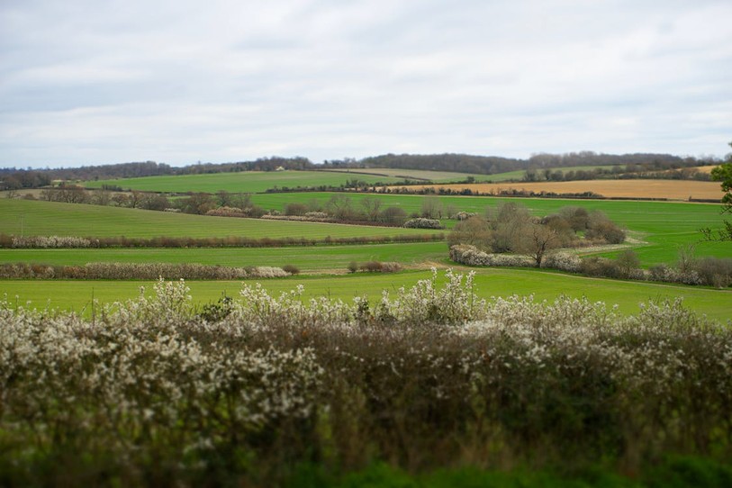 Les haies diversifiées synonymes de biodiversité
