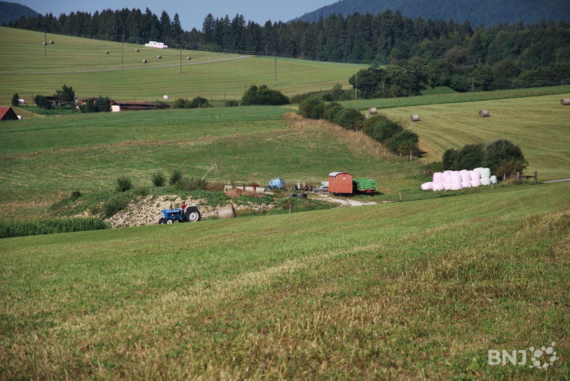   La Chambre d'agriculture du Jura bernois salue la décision du Conseil national de renvoyer le dossier au Conseil fédéral (photo: archives)