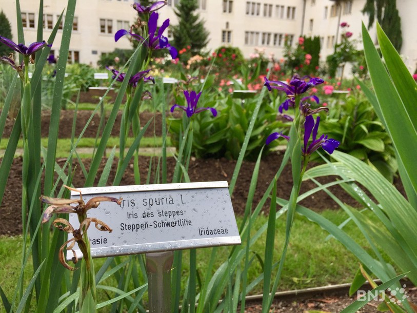 Botanica 2018, Jardin botanique de Porrentruy, Jurassica