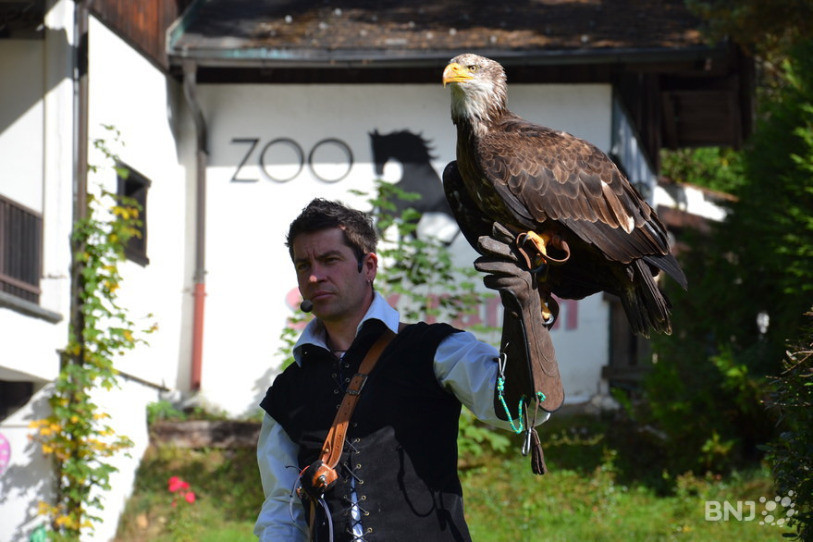 Christophe Keller s'en va, mais le Sikypark continuera de proposer des spectacles de rapaces. (Photo: archives)