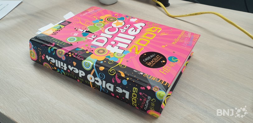 Ne jamais juger un livre à sa couverture… surtout quand elle est rose bonbon. La preuve avec Le Dico des filles, édition 2009. Un ouvrage truffé d’injonctions sexistes et misogynes, à destination des adolescentes en pleine découverte d’elles-mêmes.