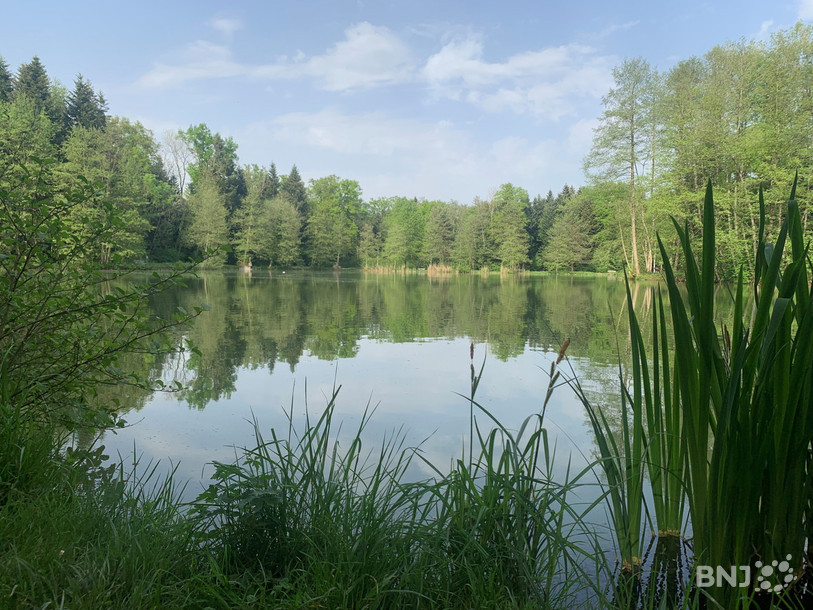 A Cornol, l'étang de la Montoie accueille pêcheurs et promeneurs.