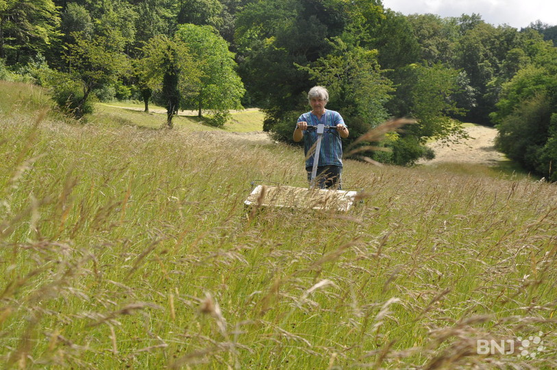 Grâce à une machine spéciale, AgriJura a pu tester la récolte de semences sur une parcelle riche en espèces. (photo: AgriJura)