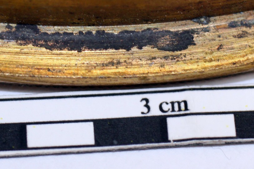 Exemple d'altération, en gros plan. Photo: HE-Arc