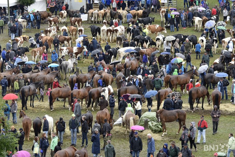 La foire de Chaindon (photo: archives)
