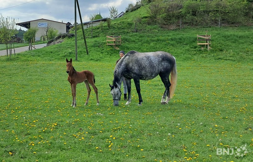 Livia et sa mère Livella.