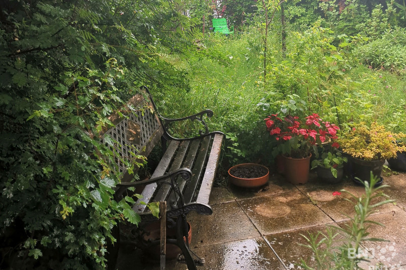 Catherine Dey Gremaud s'est lancée dans l'aventure des jardins certifiés de Pro Natura.