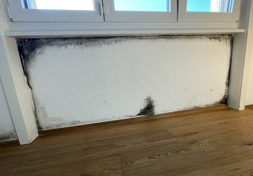 Les moisissures qui s'invitent dans un logement peuvent se transformer en véritable casse-tête pour les habitants. (Photo d'illustration: GVM Assainissements).