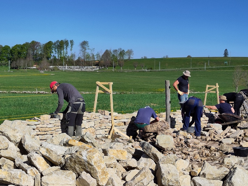 Le chantier démarré l'an dernier a repris fin avril. (Photo : Fondation Actions Environnement).