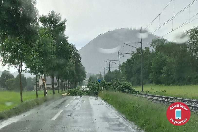 Un arbre s'est notamment effondré sur la route et les rails entre Couvet et Môtiers.