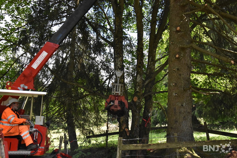 Les travaux à la Bise de Cortébert dureront environ deux semaines.