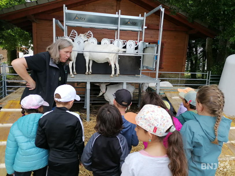 Un atelier de traite des chèvres était notamment au programme.