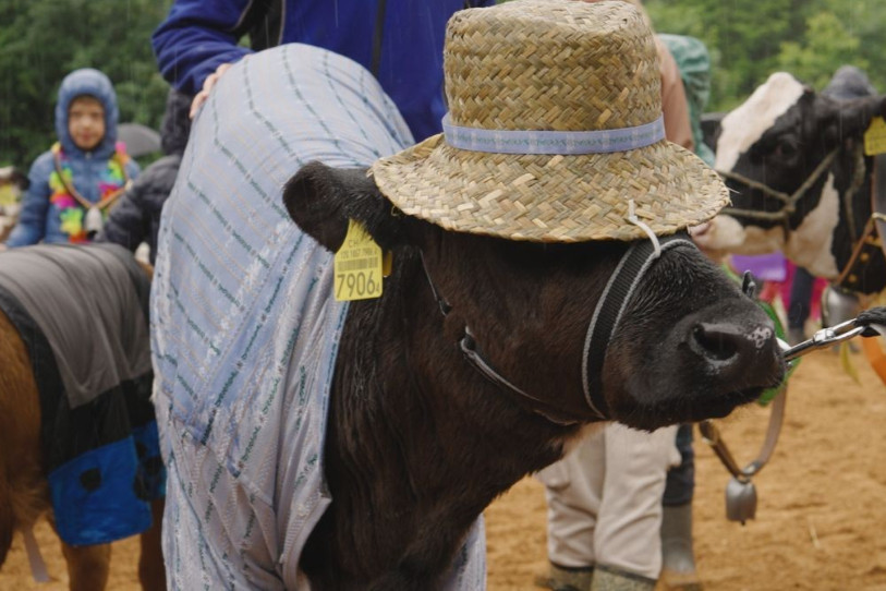 Il a fallu s'abriter pour fêter un demi-siècle d'agriculture. (Photo : AgriJura.)