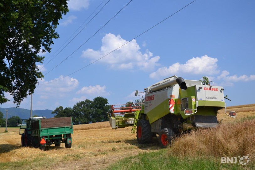 Les moissons sont désormais terminées en plaine. (Photo : archives).