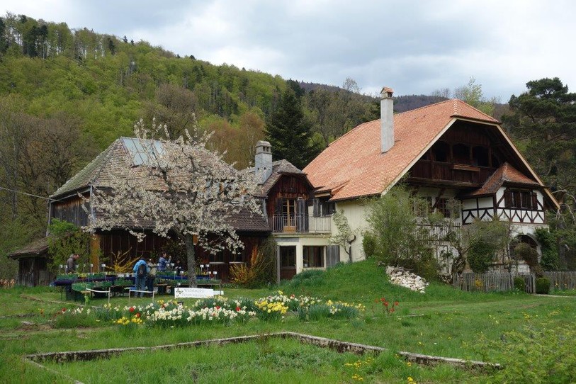 maison robert, orvin