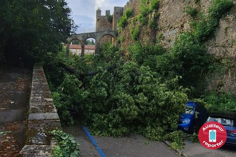 Les orages ont renversé des arbres à Neuchâtel. 