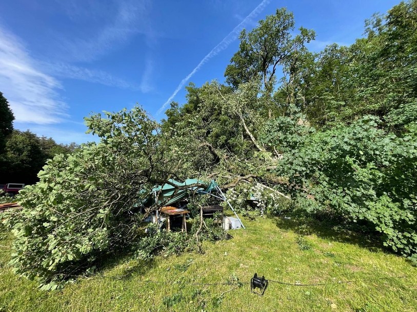 Un arbre abattu suite à l'orage à Saint-Blaise. (Photo: Jean Gabriel Bonhôte).