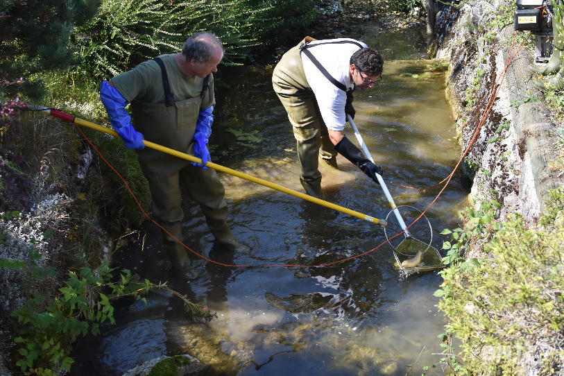 Le moyen le plus efficace pour faire sortir les poissons de leur cachette: la pêche électrique.