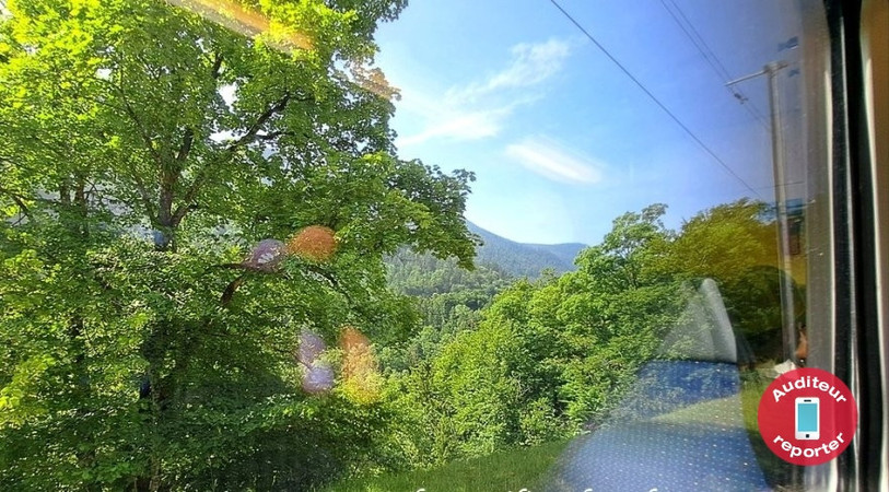 Notre auditeur a pris cette photo alors qu'il était bloqué dans le train en panne. (Photo : auditeur-reporter).
