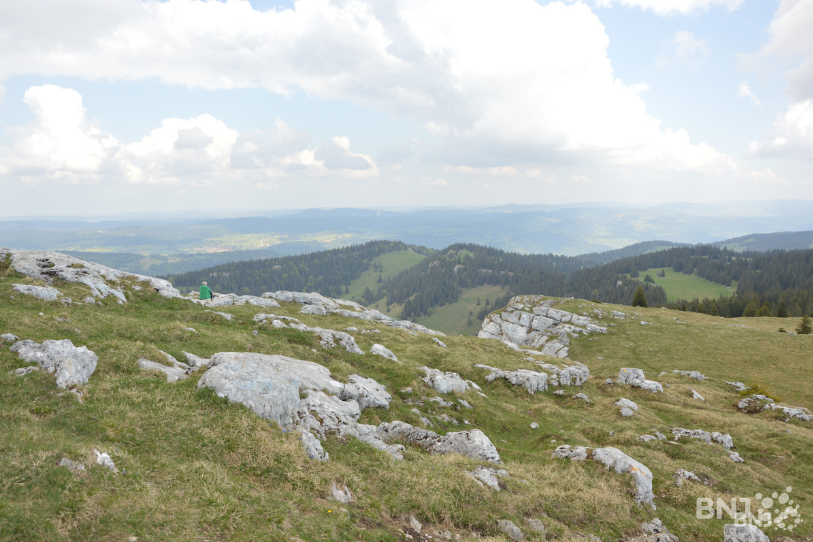Sur les crêtes du massif du Jura, la sécheresse se fait par endroit sentir (image d'archive).