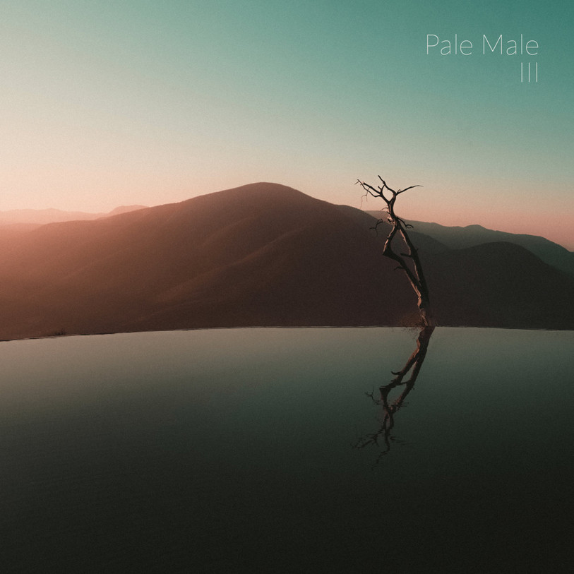 Pale Male, III (Pochette de Lionel Nemeth)
