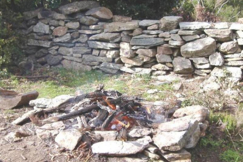 Les grillades en forêt sont à nouveau autorisées. (Image d'illustration). 