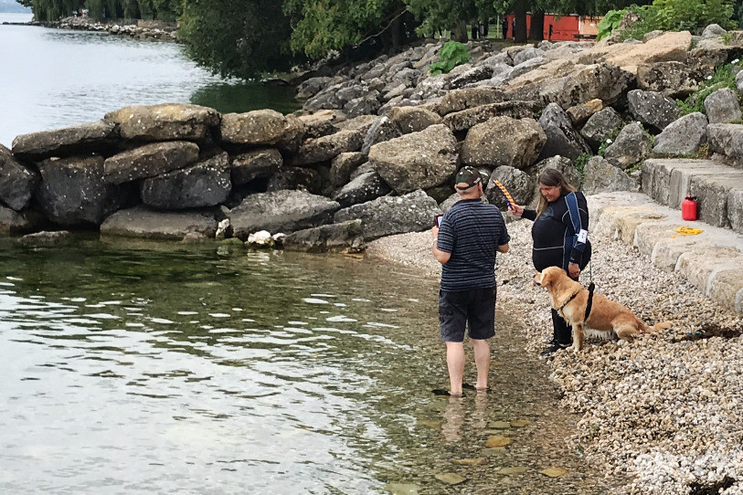 Les participants à poils ont dû nager plusieurs centaines de mètres pour convaincre les juges.