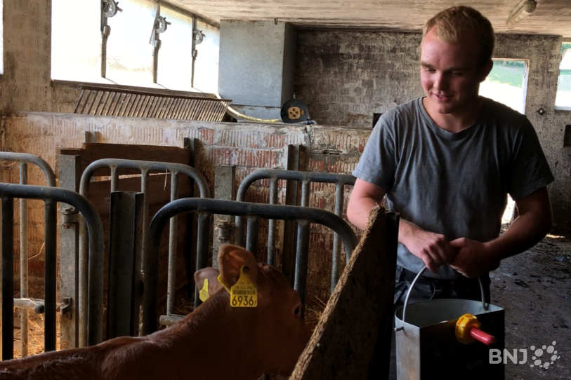 Aubin Montavon s'occupe quotidiennement d'animaux dans la ferme La Tournelle à Courrendlin.