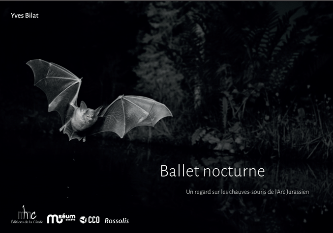Livre Ballet nocturne