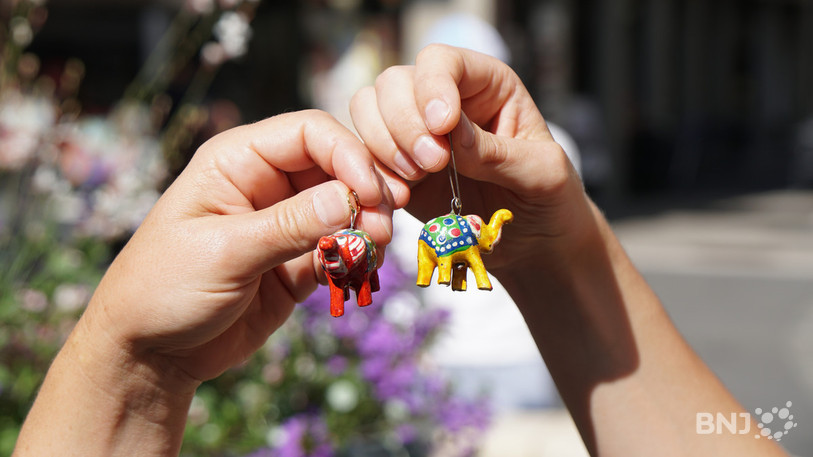 La vente du badge (cette année: un petit éléphant multicolore) et du programme permet au public de soutenir les finances du festival.