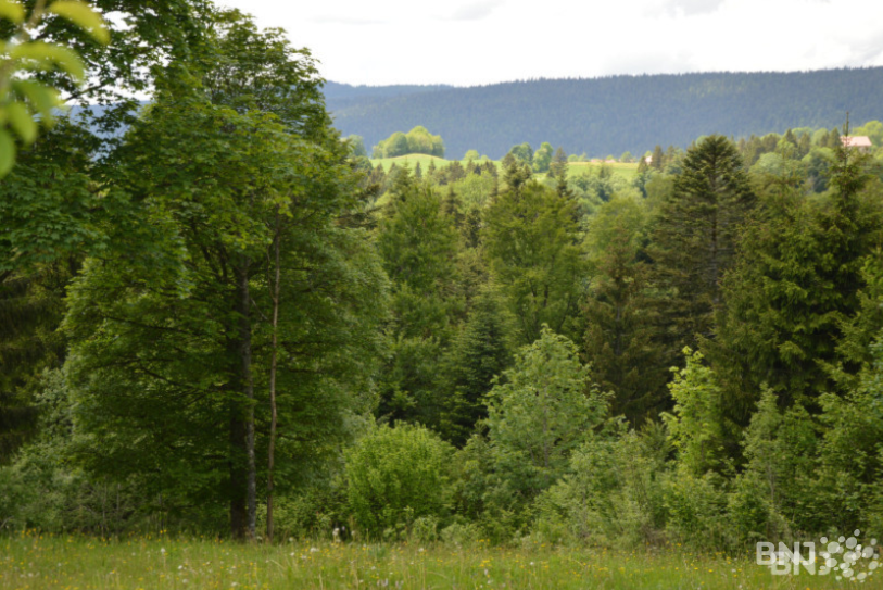 L'initiative de Val Forêt SA est originale selon l'Aide Suisse aux Montagnards. (Photo: archives)
