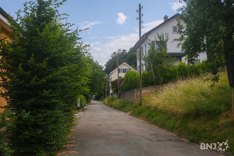 Le chemin est encore équipé de ligne électriques aériennes.