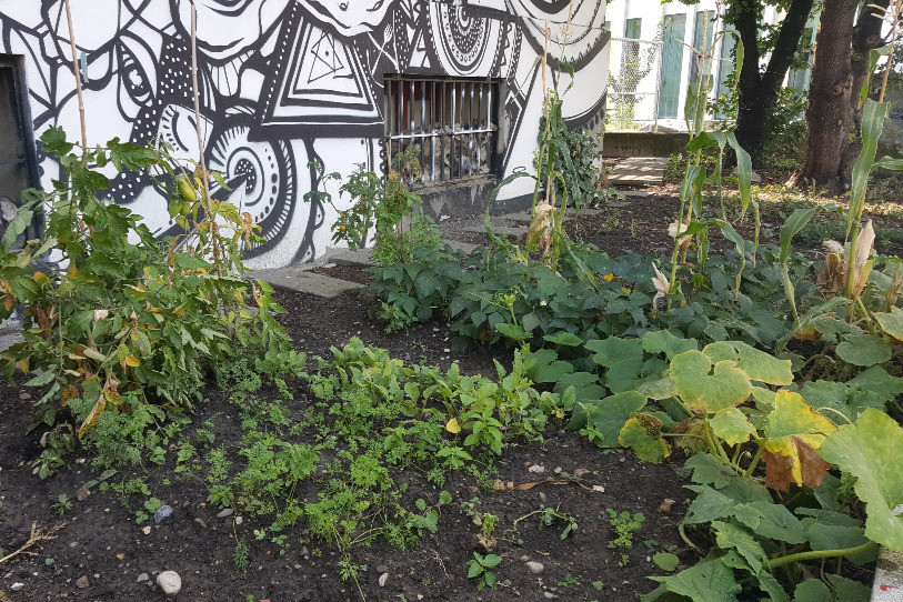 Le jardin des générations dans lequel se trouvait le cucurbitaceae. (Image : Residenz au Lac)