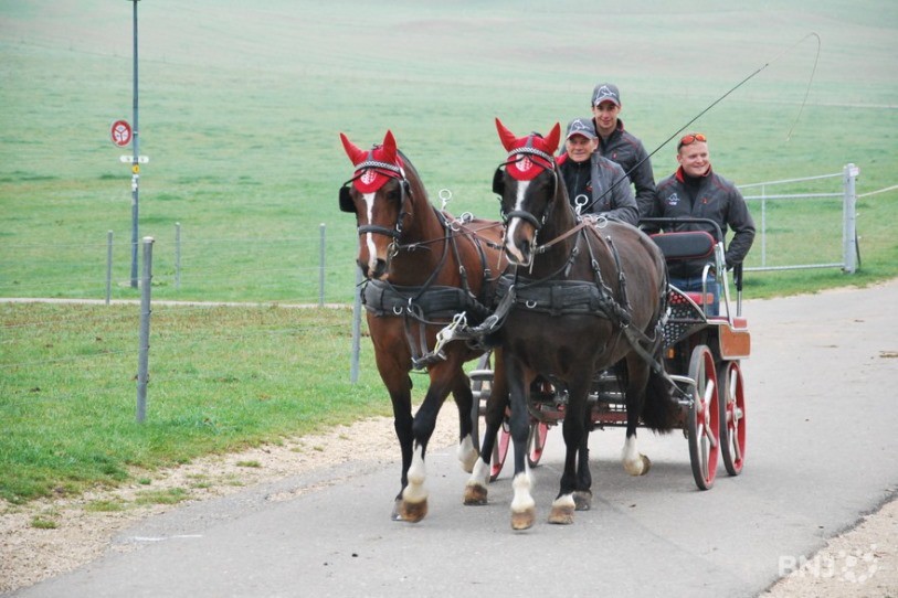 La compétition équestre aura finalement lieu l'année prochaine. (Photo : archives)