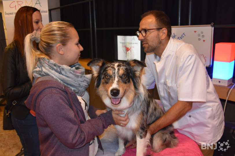 Les massages gratuits pour animaux ont été prisés des curieux.