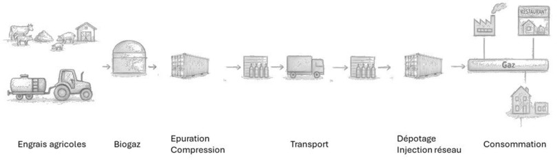 Schéma représentant le chemin du biogaz, de sa production à sa consommation. (Illustration : Bio Energ'Etique SA et EDJ)