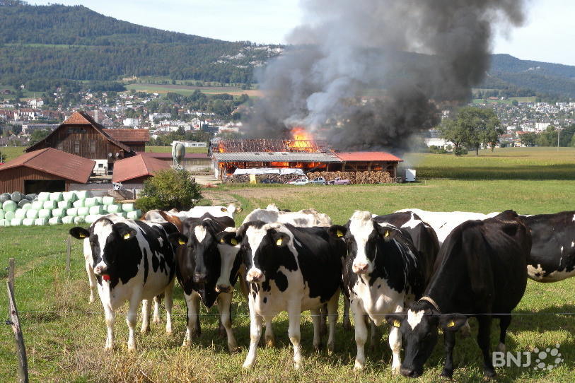 Le feu ravage une grange à Delémont