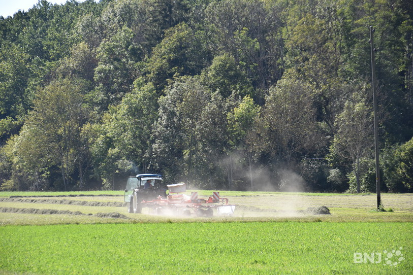 L'exécutif jurassien estime que les règles entourant l'utilisation des pesticides sont globalement bien suivies par les agriculteurs du canton. (Photo: archives)