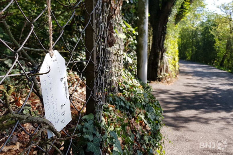 Plusieurs voeux pour la planète ont déjà été déposés sur le chemin du Pertuis-du-Sault.