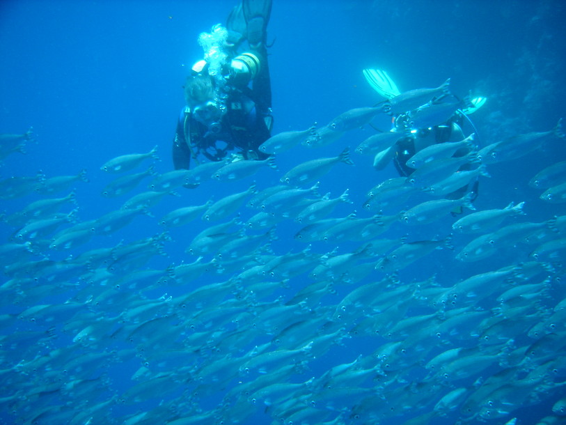 Monde sous-marin