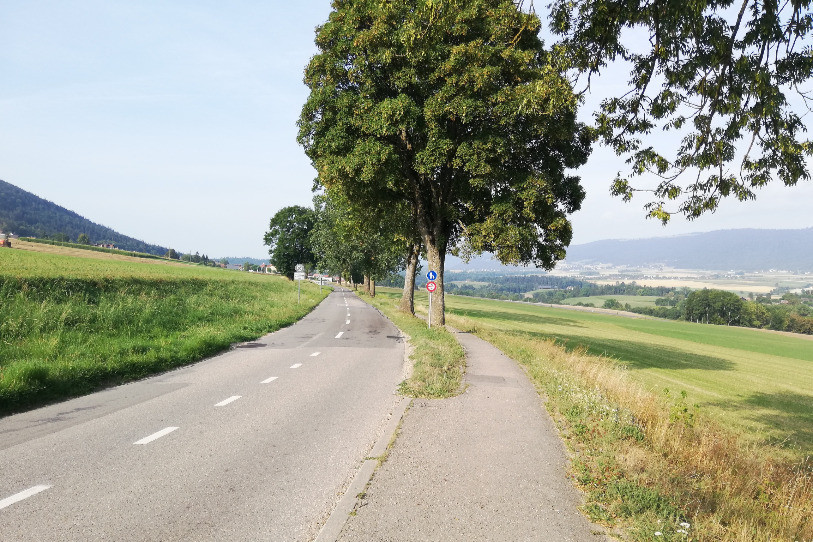 Le Canton a décidé d'abattre 26 arbres mal en point aux abords des routes du Val-de-Ruz. (Photo : archives)