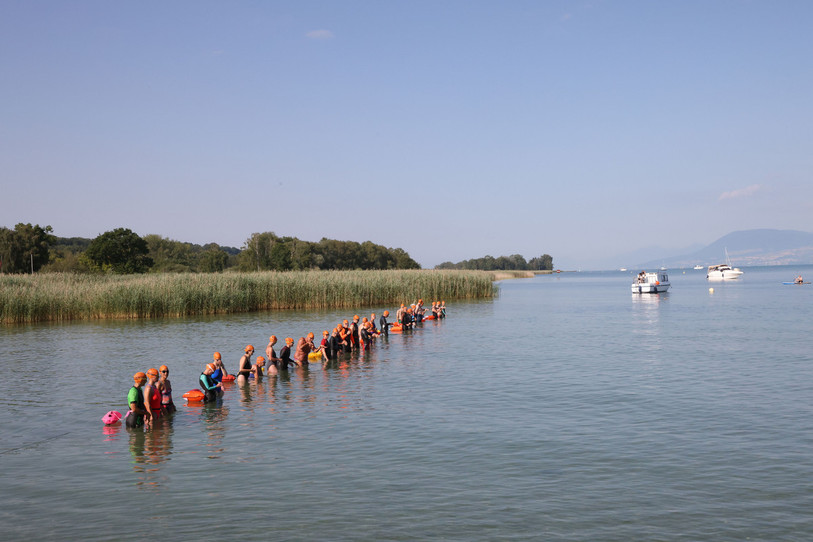 Les nageuses au départ de la Traversée Marthe Robert à Cudrefin. (Photo : Traversée Marthe Robert)