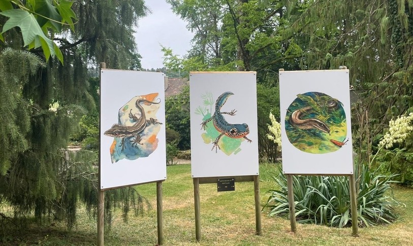 L'exposition «Le Jardin de Guznag» au jardin botanique de Porrentruy.