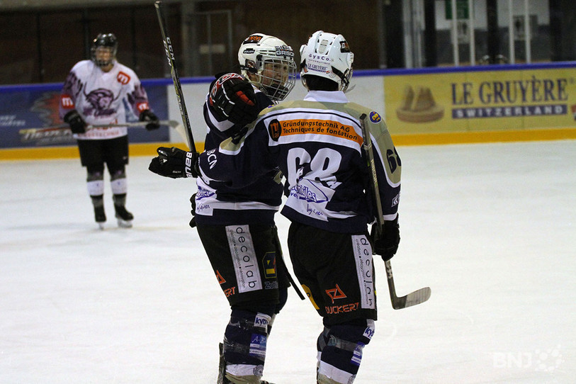 La NHA s'est imposée à l'usure samedi soir aux Patinoires du Littoral. (photo : archives)