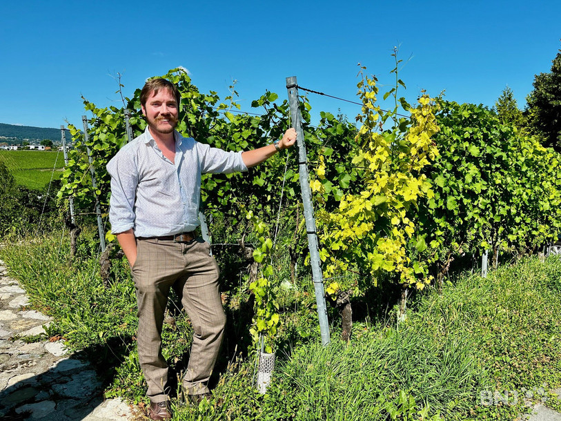 Simon Vouga est le nouveau conservateur du Musée de la vigne et du vin à Boudry. 