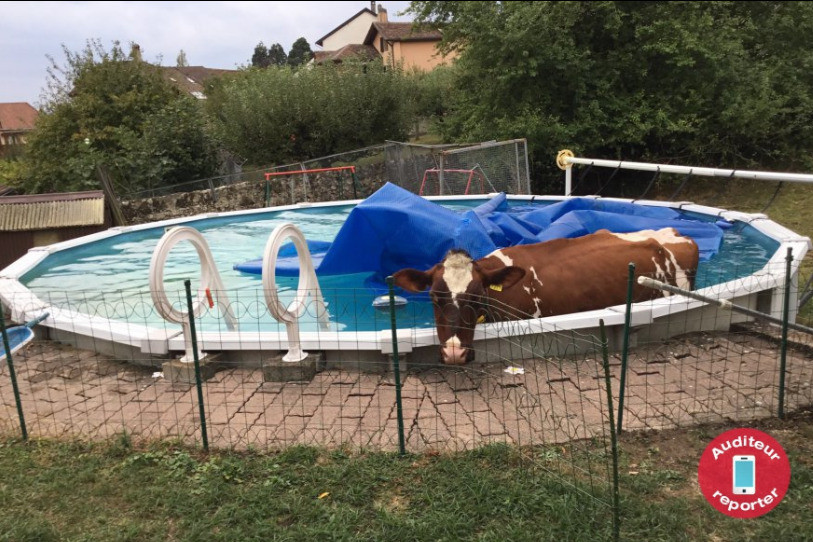Les éclaboussures ont assurément été impressionnantes ! (Image: Auditeur-reporter)